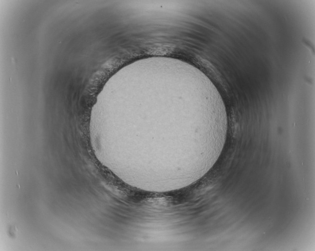 X0000102220307200808151712