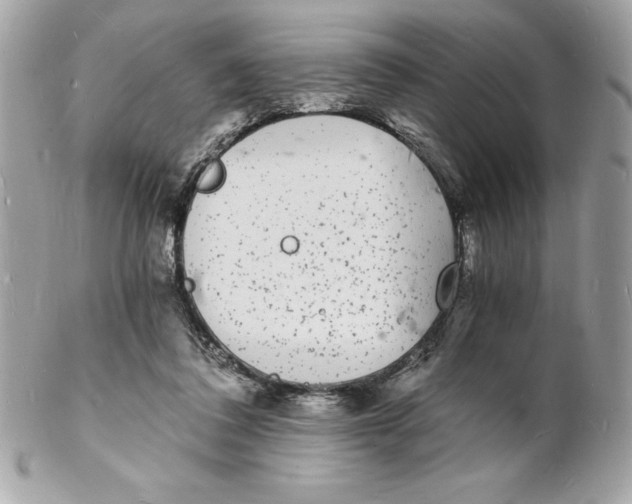 X0000102220308200808151712