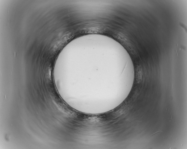 X0000102220310200808151712