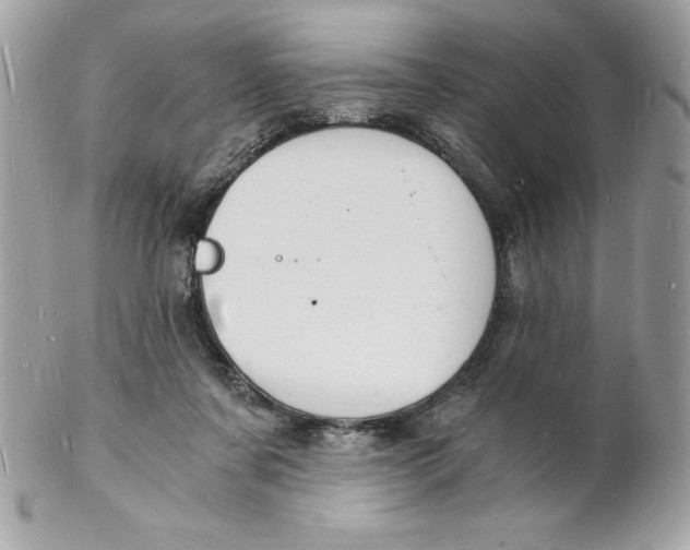 X0000102220311200808151712