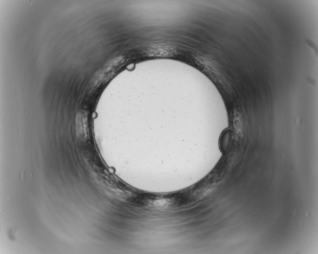 X0000102220312200808151712