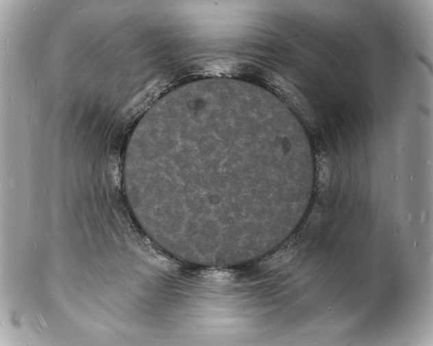 X0000102220313200808151712