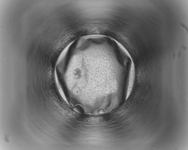 X0000102220314200808151712