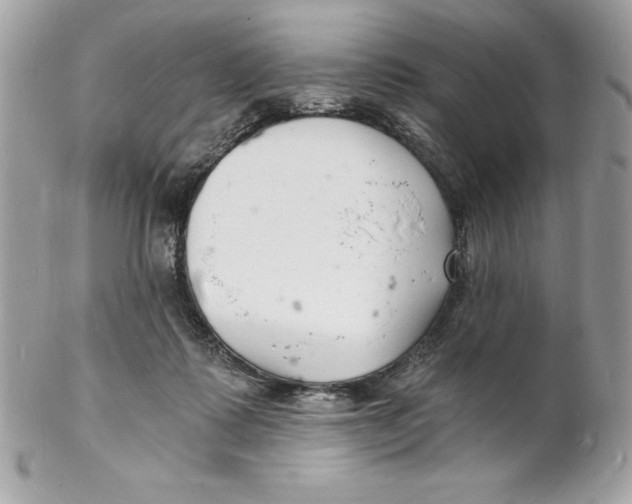 X0000102220315200808151712