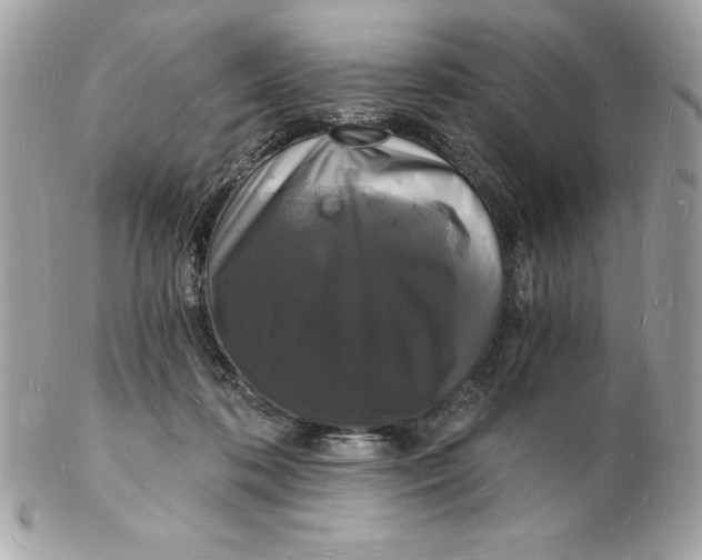 X0000102220316200808151712