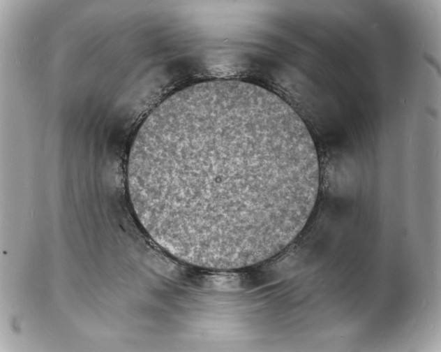 X0000102220317200808151712