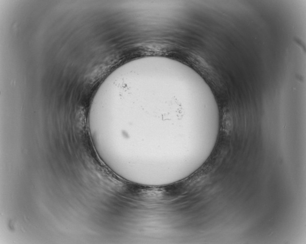 X0000102220318200808151712