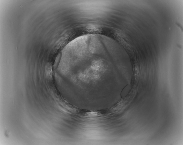 X0000102220320200808151712