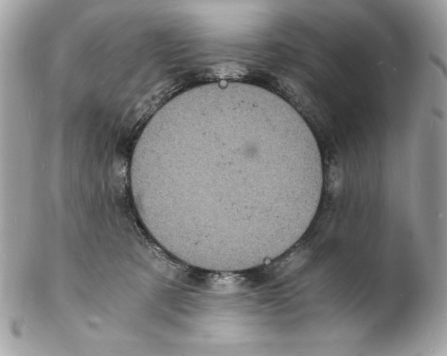 X0000102220321200808151712