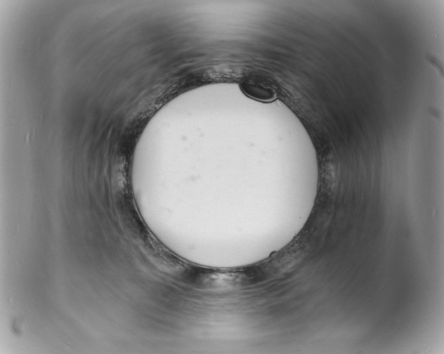 X0000102220323200808151712