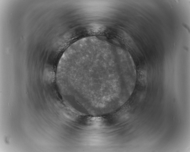 X0000102220324200808151712