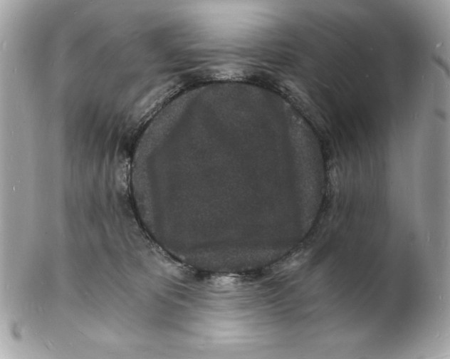 X0000102220325200808151712