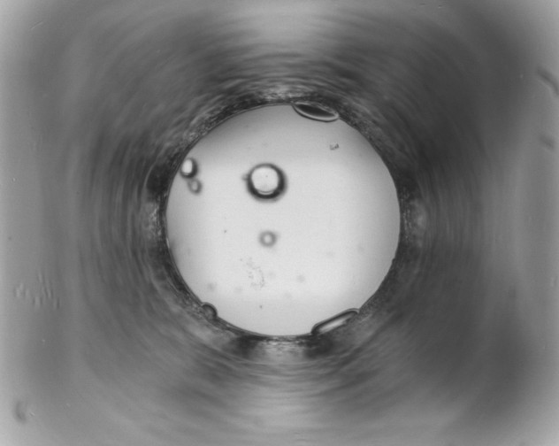 X0000102220327200808151712