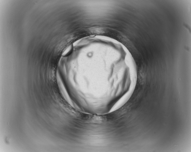 X0000102220330200808151711