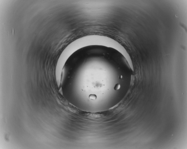 X0000102220332200808151711