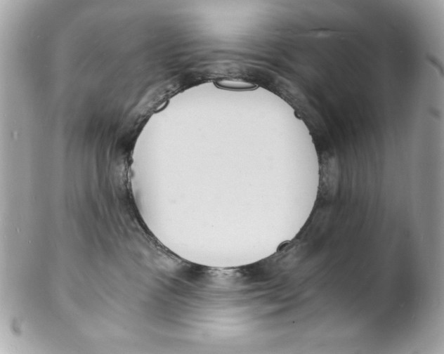 X0000102220333200808151711