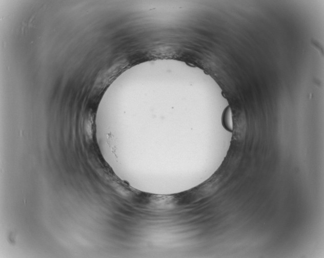 X0000102220334200808151711