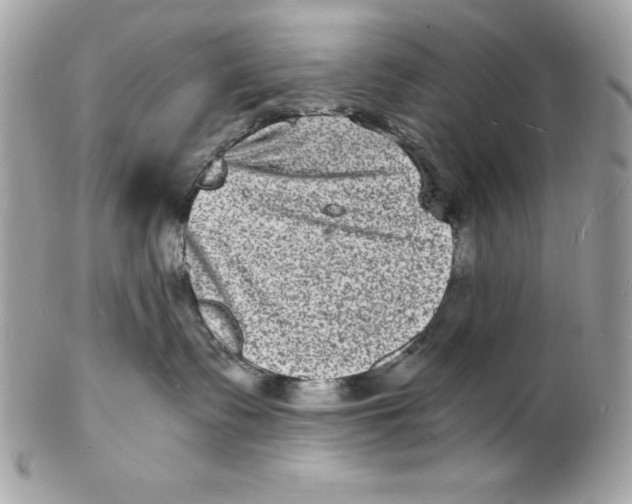 X0000102220335200808151711