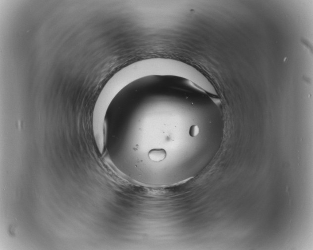 X0000102220336200808151711