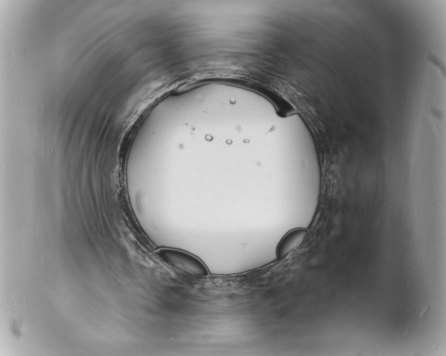 X0000102220338200808151711