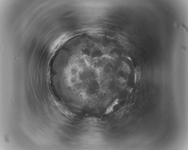 X0000102220339200808151711