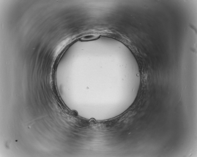 X0000102220340200808151711