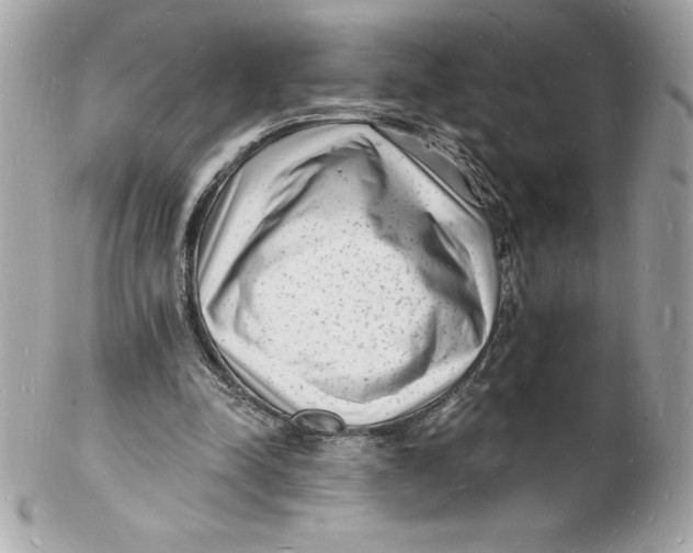 X0000102220342200808151711