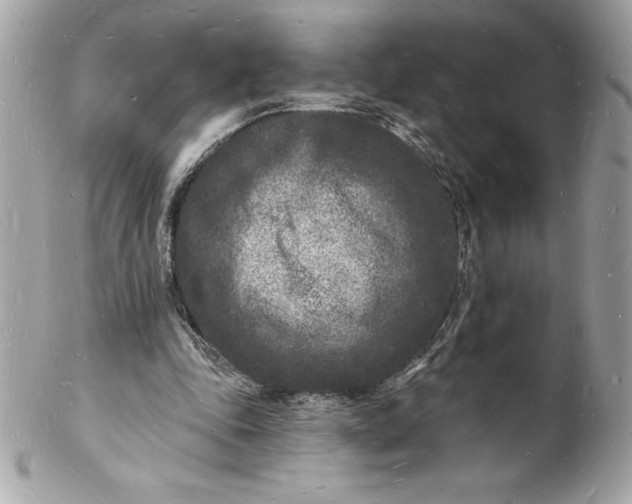 X0000102220343200808151711