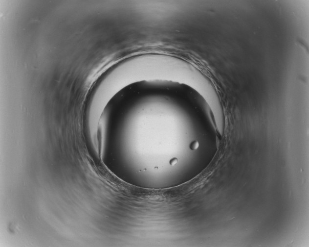 X0000102220344200808151711