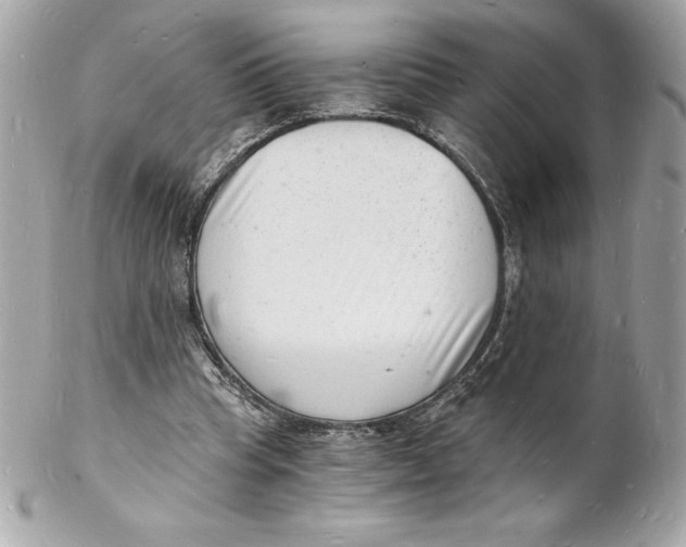 X0000102220345200808151711