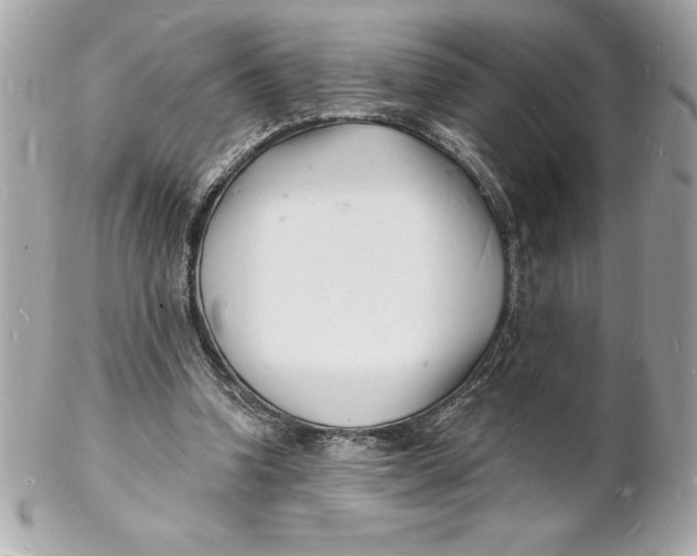 X0000102220346200808151711