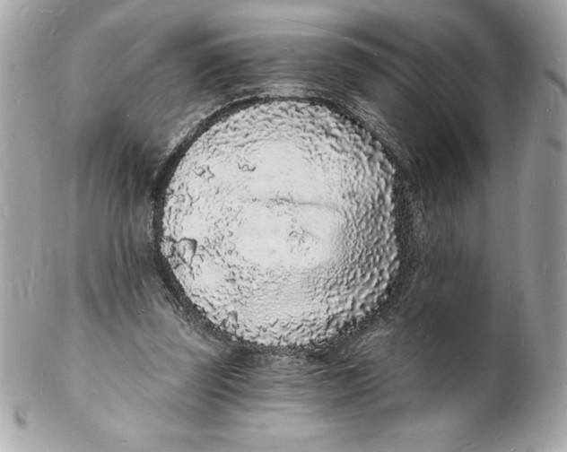 X0000102220347200808151711