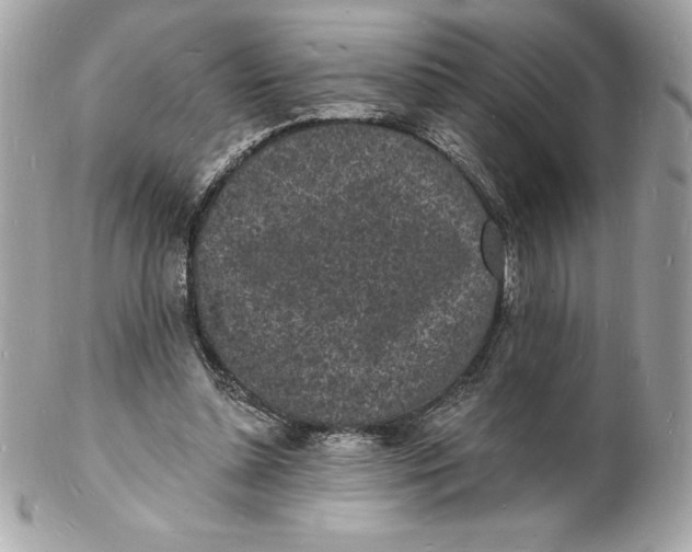 X0000102220348200808151711