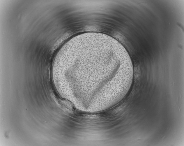 X0000102220349200808151711