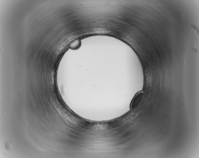 X0000102220350200808151711