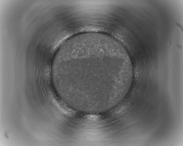 X0000102220352200808151711