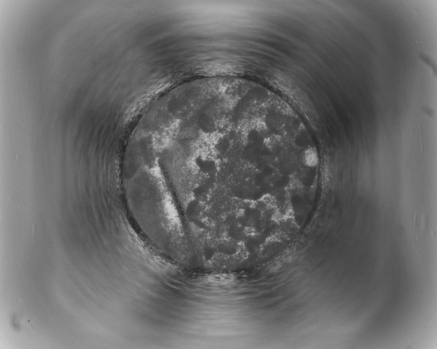 X0000102220353200808151711