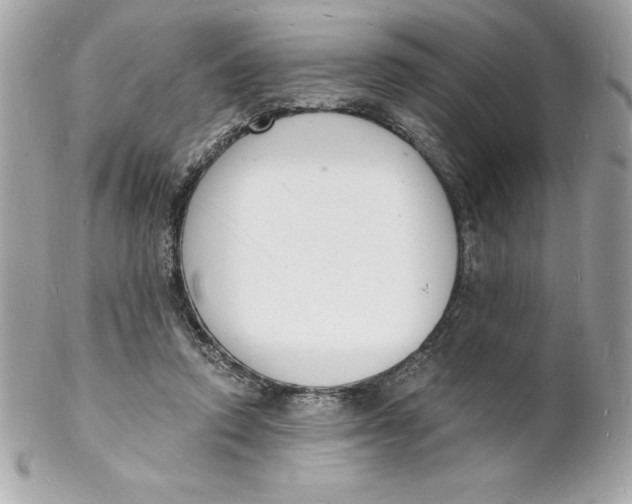 X0000102220354200808151711