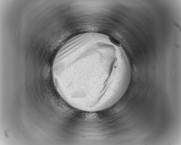 X0000102220355200808151711