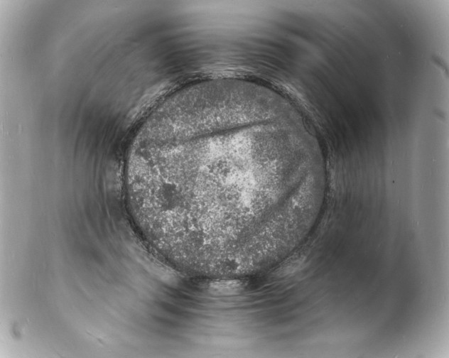 X0000102220357200808151711