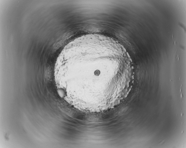 X0000102220359200808151711