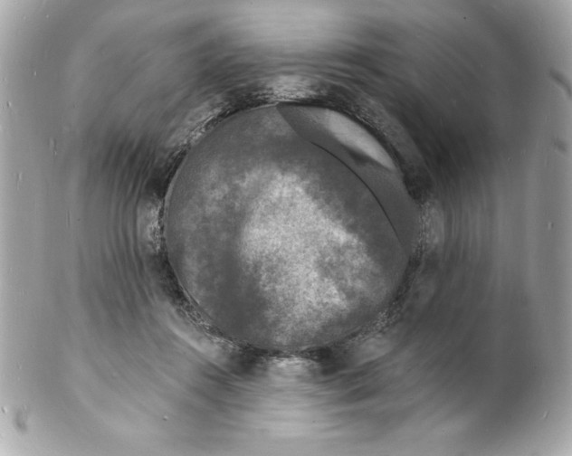 X0000102220360200808151711