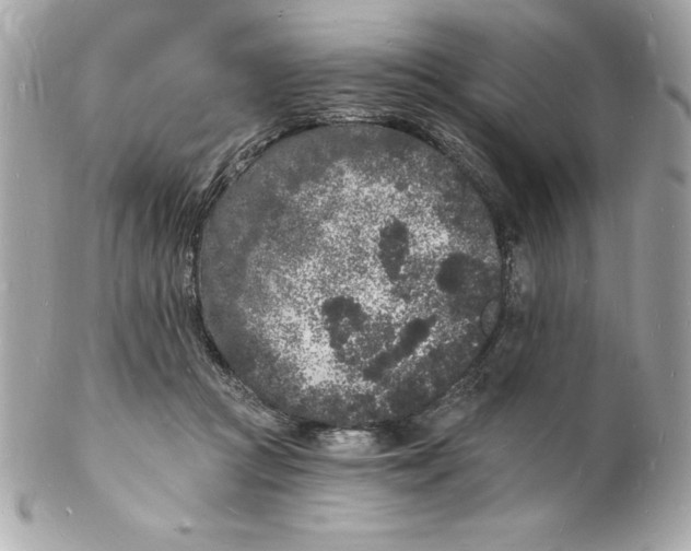 X0000102220361200808151711