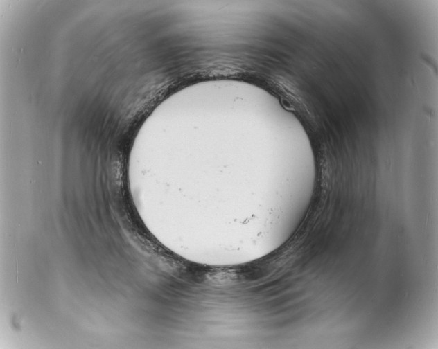 X0000102220362200808151711