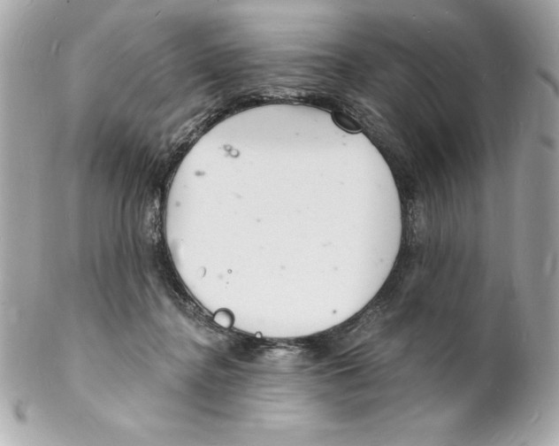 X0000102220364200808151711