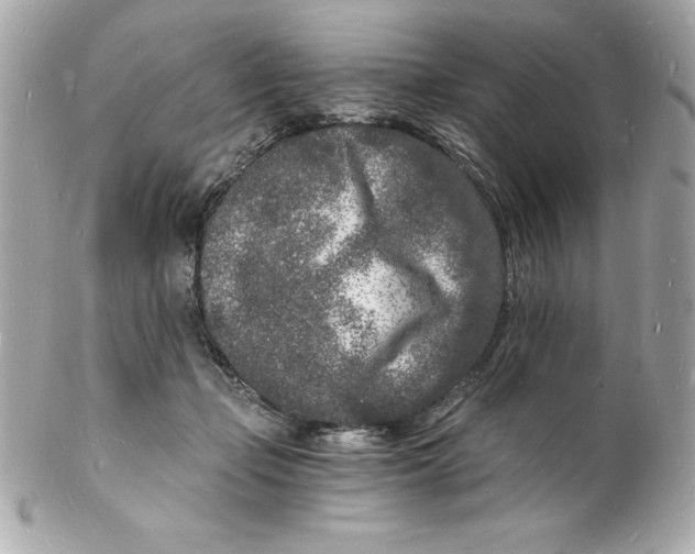 X0000102220365200808151711