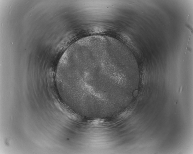 X0000102220366200808151711