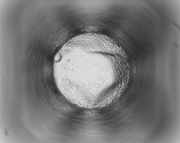 X0000102220367200808151711