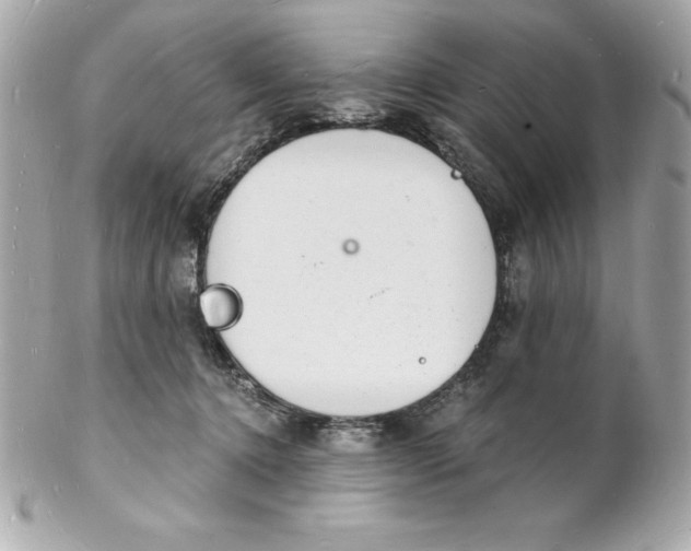 X0000102220368200808151711