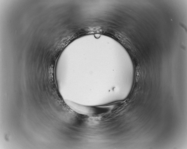 X0000102220369200808151711